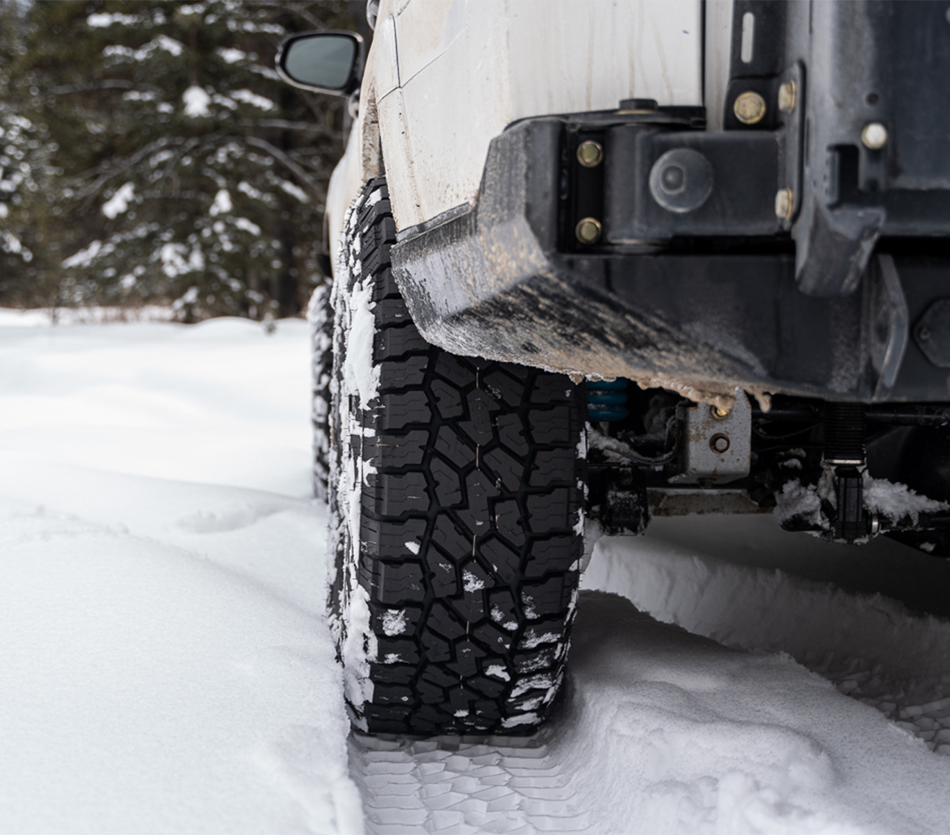 all season West Windsor レキ lenfried Sherwood Rekker Legend 4 - Junior Shin Pads